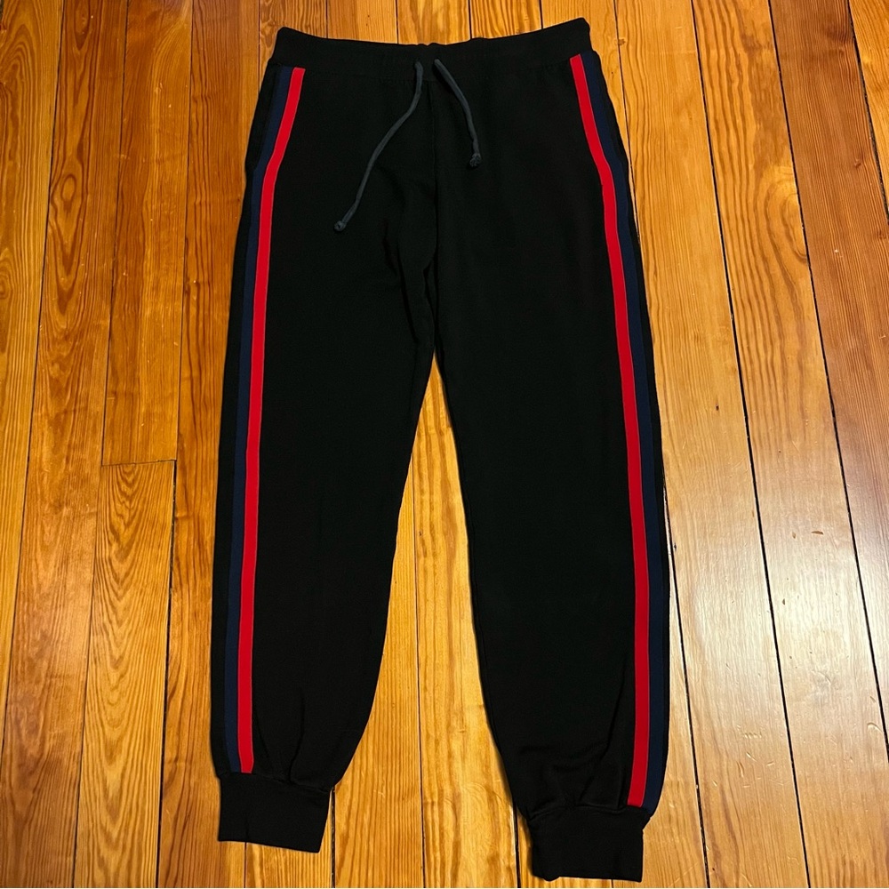 Velvet By Graham and Spencer Dior Stripped Jogger Pants Medium - Picture 2 of 10